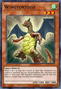 Wingtortoise (GENF-EN022)