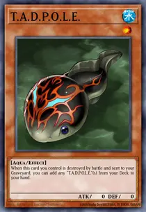 T.A.D.P.O.L.E. (DR04-EN027)