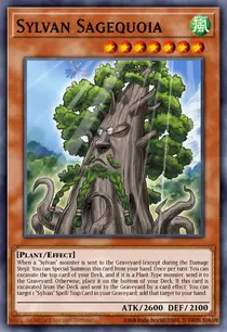 Sylvan Sagequoia (MP15-EN016)