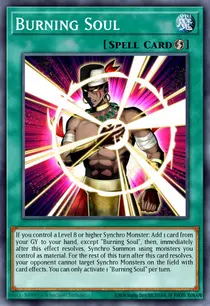 Burning Soul (SDCK-EN030)
