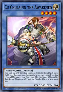 Cu Chulainn the Awakened (STON-EN033)