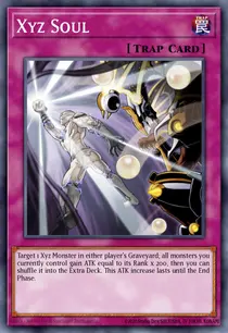 Xyz Soul (REDU-EN073)