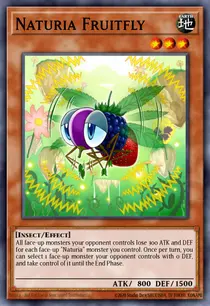 Naturia Fruitfly (DT03-EN071)