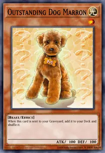 Outstanding Dog Marron (DR1-EN224)