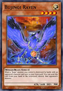 Bujingi Raven (MP14-EN179)