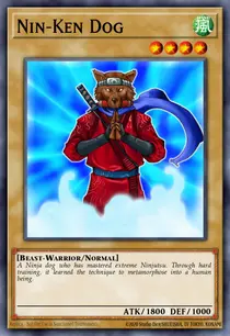 Nin-Ken Dog (DR1-EN164)