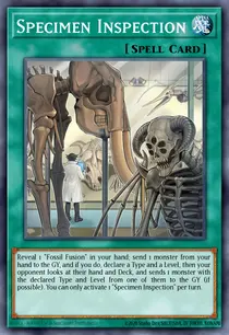 Specimen Inspection (BLAR-EN013)