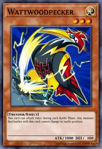 Wattwoodpecker (TSHD-EN027)