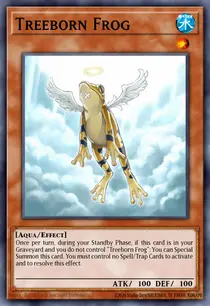 Treeborn Frog (DR04-EN145)