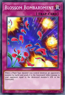 Blossom Bombardment (TSHD-EN074)