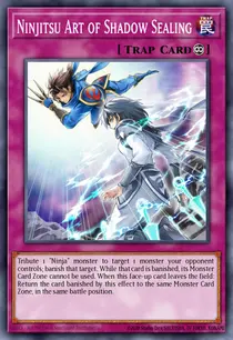 Ninjitsu Art of Shadow Sealing (REDU-EN089)