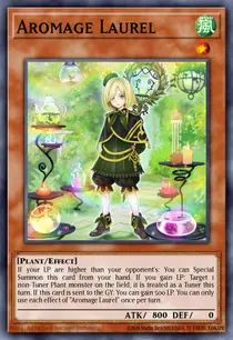 Aromage Laurel (CHIM-EN017)