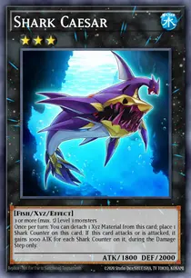Shark Caesar (JOTL-EN049)
