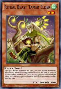 Ritual Beast Tamer Elder (THSF-EN023)