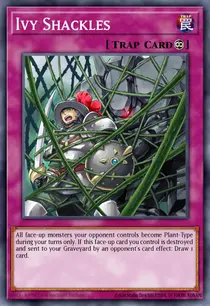 Ivy Shackles (DT02-EN098)