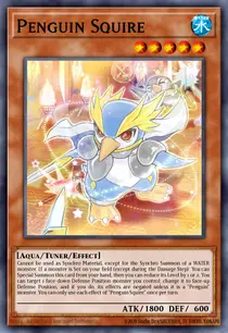 Penguin Squire (BODE-EN024)