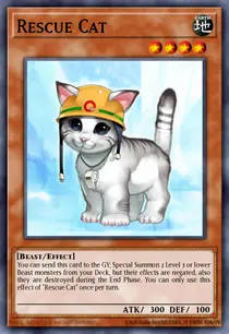 Rescue Cat (DR3-EN153)