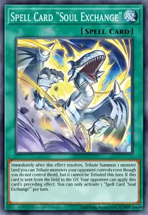 Spell Card "Soul Exchange" (INFO-EN100)