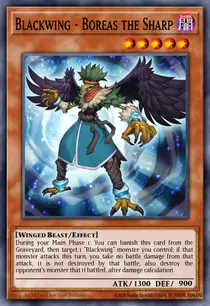 Blackwing - Boreas the Sharp (STOR-EN007)