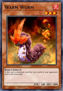 Warm Worm (TF04-EN001)