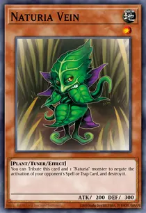 Naturia Vein (HA02-EN004)