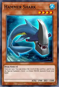 Hammer Shark (SP14-EN013)