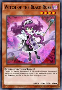 Witch of the Black Rose (ABPF-EN012)