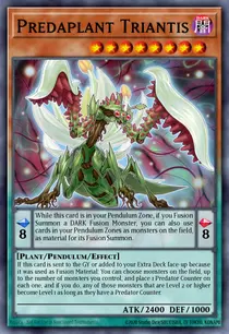Predaplant Triantis (MP23-EN071)