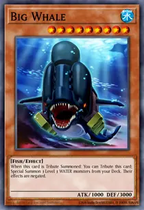 Big Whale (LTGY-EN008)