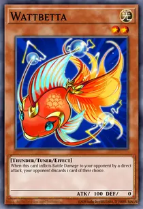 Wattbetta (DREV-EN024)