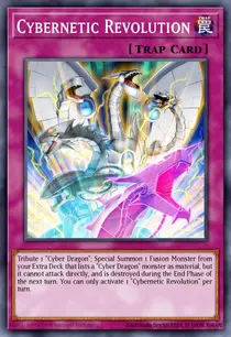 Cybernetic Revolution (SDCS-EN035)