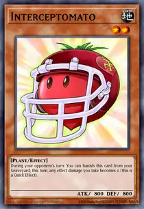 Interceptomato (MP14-EN062)