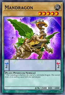 Mandragon (DEM4-EN005)