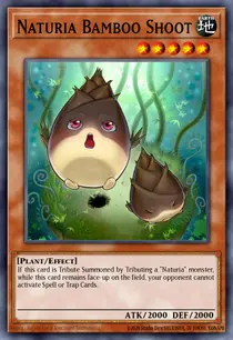 Naturia Bamboo Shoot (DREV-EN029)