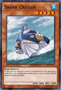 Shark Cruiser (ANPR-EN028)