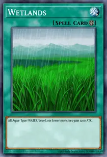 Wetlands (LODT-EN054)
