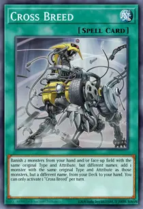 Cross Breed (MP19-EN124)