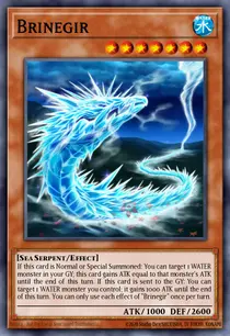 Brinegir (CHIM-EN026)