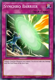 Synchro Barrier (SOVR-EN064)