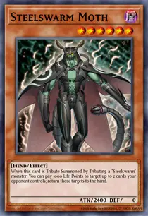 Steelswarm Moth (DT05-EN081)