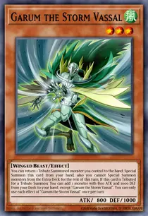 Garum the Storm Vassal (SR01-EN015)