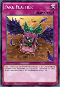 Fake Feather (DP11-EN024)