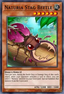 Naturia Stag Beetle (STBL-EN032)
