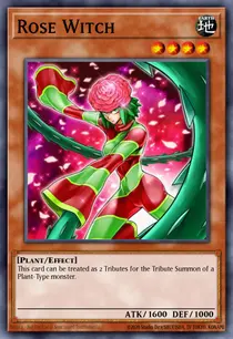 Rose Witch (LC5D-EN097)