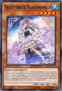 Carta Selettrice Vaalmonica, LEDE-EN022