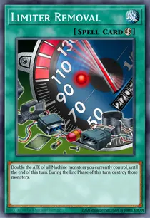Limiter Removal (SR03-EN028)