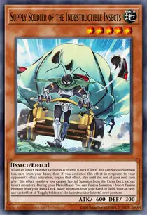 Supply Soldier of the Indestructible Insects (ROTA-EN081)