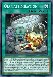 Ojamassimilation (LED2-EN022)