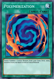 Polymerization (SDHS-EN023)
