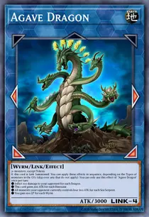 Agave Dragon (MP19-EN191)
